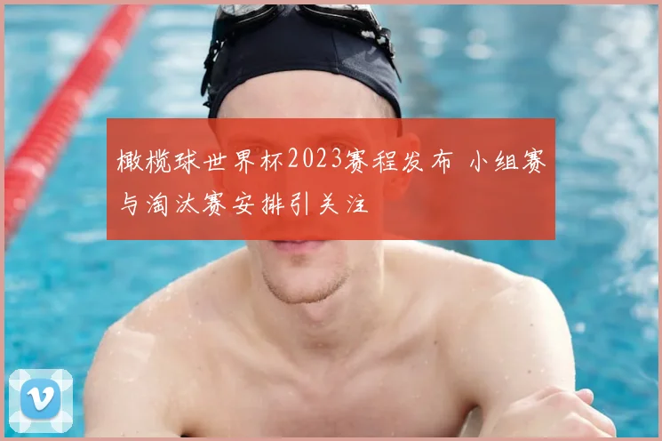 橄榄球世界杯2023赛程发布 小组赛与淘汰赛安排引关注