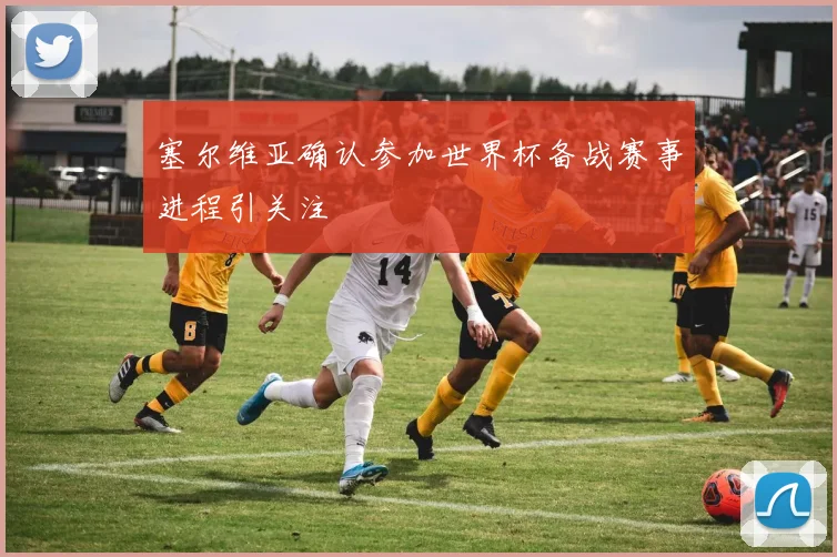 塞尔维亚确认参加世界杯备战赛事进程引关注
