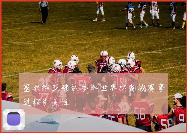 塞尔维亚确认参加世界杯备战赛事进程引关注