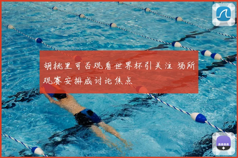 胡桃里可否观看世界杯引关注 场所观赛安排成讨论焦点