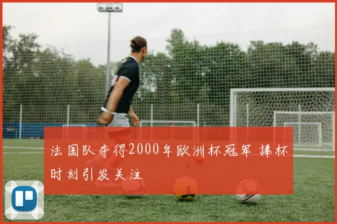 法国队夺得2000年欧洲杯冠军 捧杯时刻引发关注