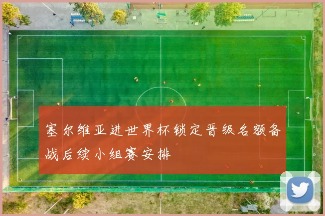 塞尔维亚进世界杯锁定晋级名额备战后续小组赛安排