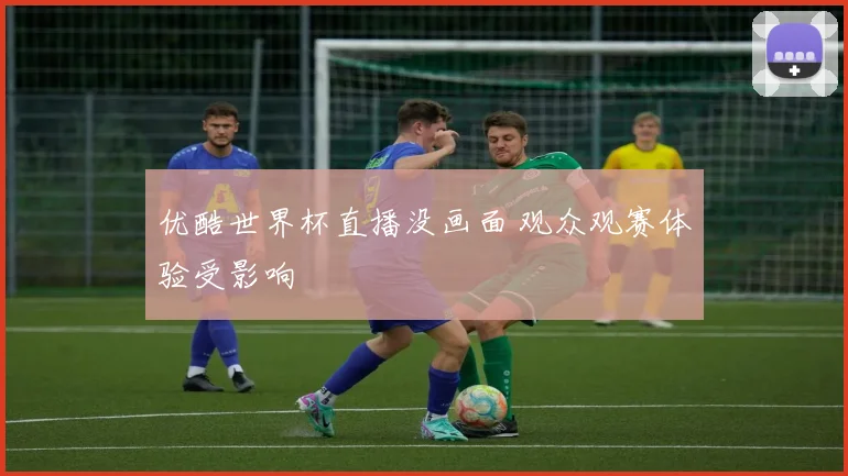 优酷世界杯直播没画面 观众观赛体验受影响
