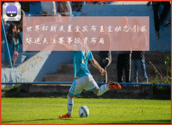 世界杯新浪基金发布基金动态 引发球迷关注赛事投资布局