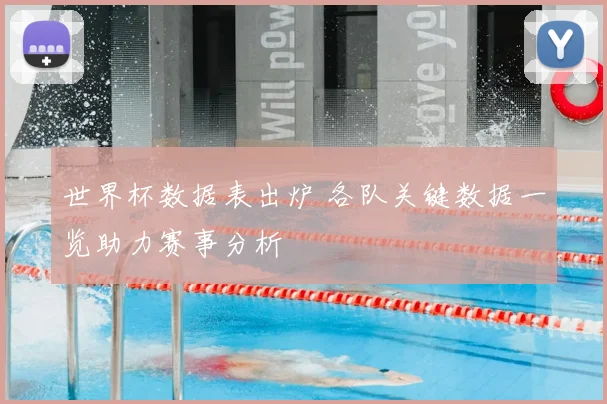 世界杯数据表出炉 各队关键数据一览助力赛事分析
