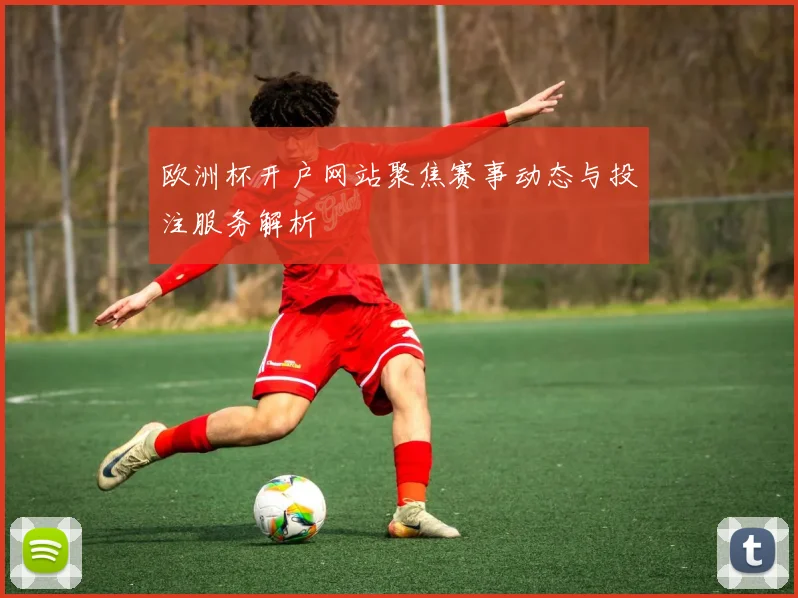 欧洲杯开户网站聚焦赛事动态与投注服务解析